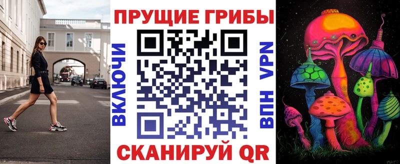 Псилоцибиновые грибы Psilocybe mega зеркало Шиханы